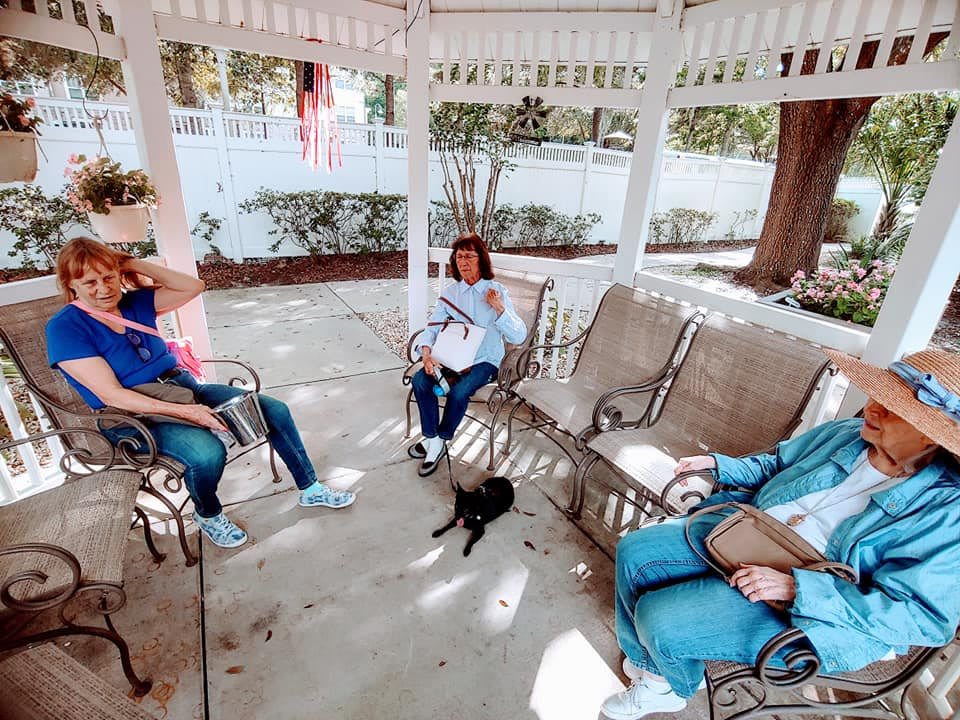 A group of people relaxing and conversing in a gazebo, accompanied by a small dog.