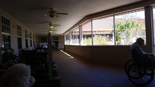 A sunlit hallway with windows and a view of greenery outside.