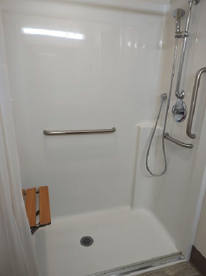An accessible shower with a handheld showerhead and grab bars.