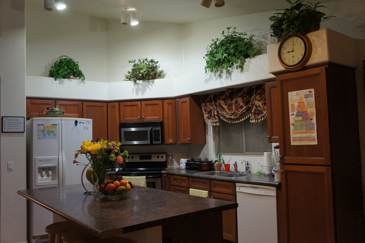 A cozy kitchen interior with wooden cabinets, appliances, and decorative plants.