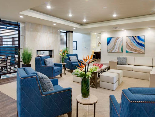 A stylish modern living room featuring blue seating, contemporary art, and vibrant plant decor.