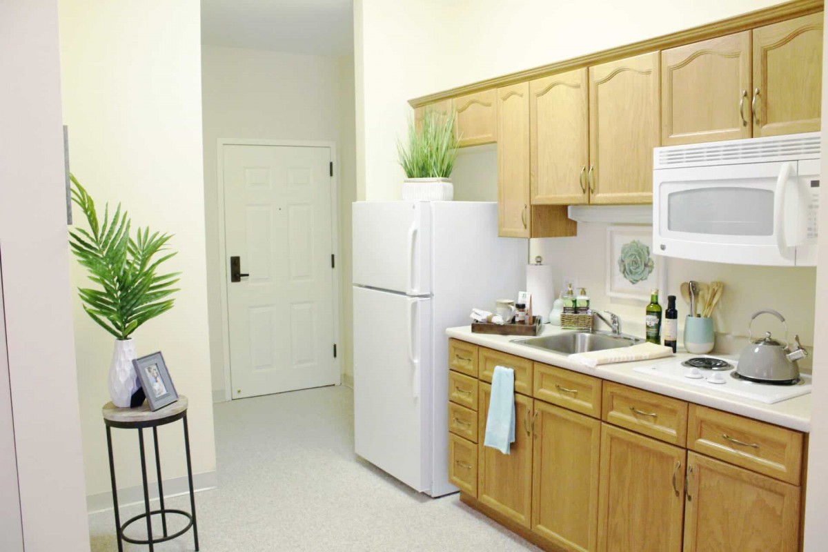 A modern kitchen with wooden cabinets, a refrigerator, and plants on the countertop.