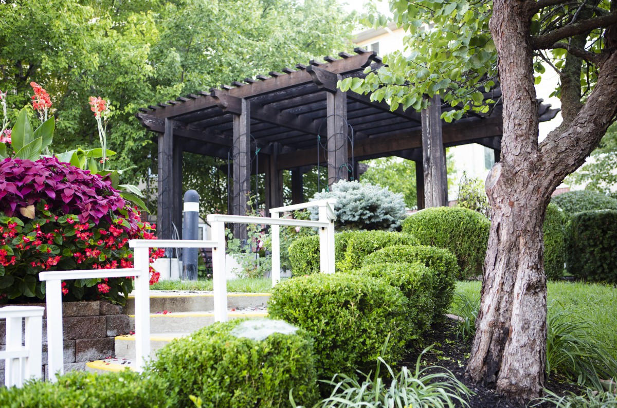 A beautifully landscaped garden featuring a wooden pergola surrounded by lush greenery and manicured hedges.