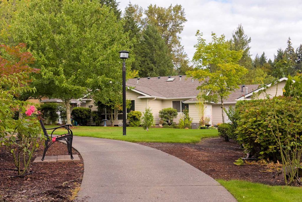 A suburban house with a winding pathway surrounded by trees and a garden.
