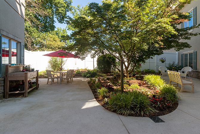 A peaceful garden patio with outdoor seating and lush greenery on a sunny day.