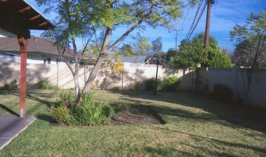 A sunny backyard with a tree, grass, and a white fence.