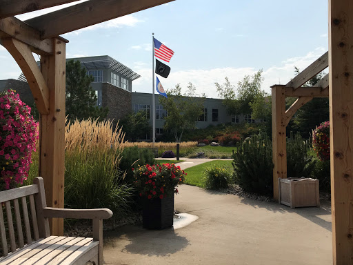 A serene garden scene featuring American and another flag, surrounded by lush greenery and modern buildings.