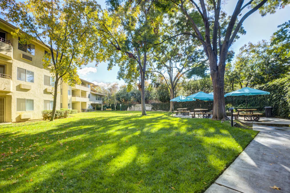 A sunny park with lush green lawn, trees providing shade, and seating areas with umbrellas.