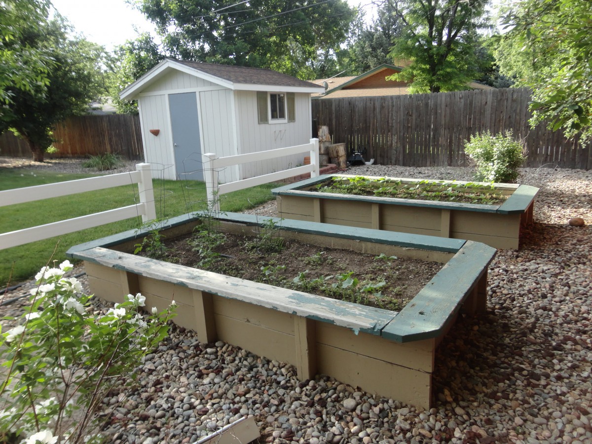 A backyard featuring two raised garden beds, suitable for planting vegetables and other plants.
