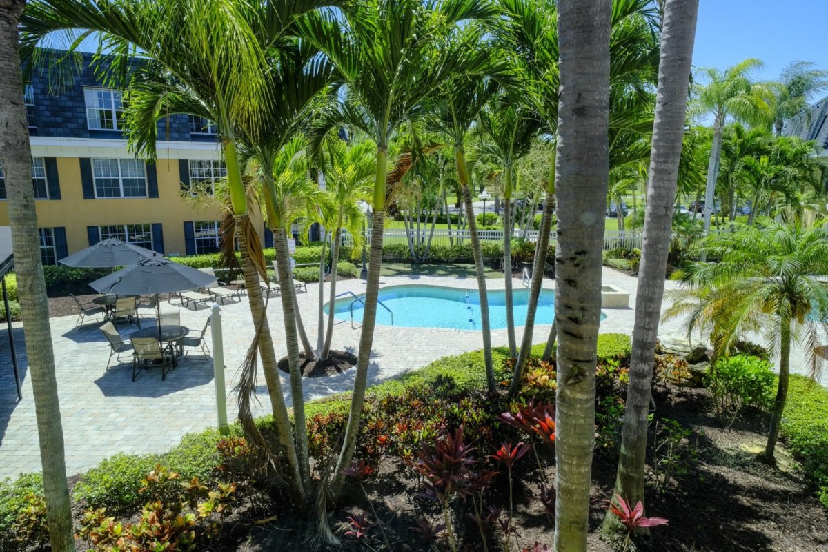 A serene tropical pool area surrounded by lush palm trees and vibrant landscaping.