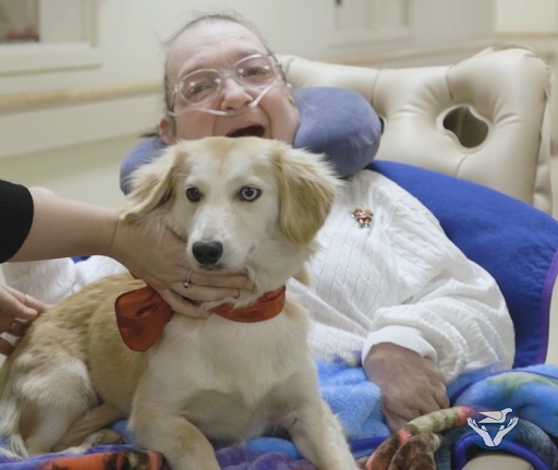 A joyful moment shared between a person and their beloved dog, showcasing the comfort and companionship animals bring.