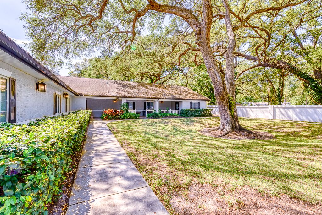 A charming house with a large tree and well-maintained lawn.