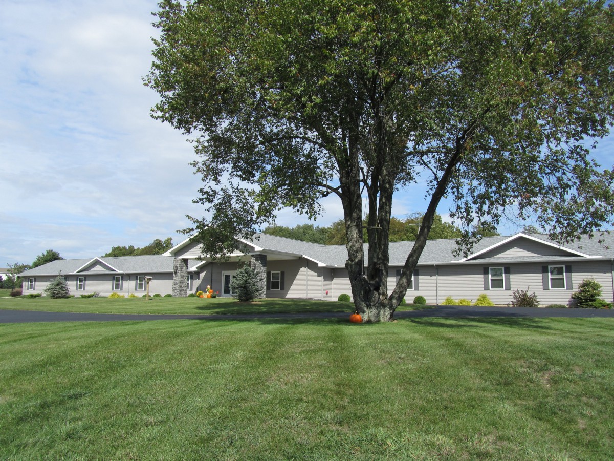 A suburban house with a large tree and well-maintained lawn.