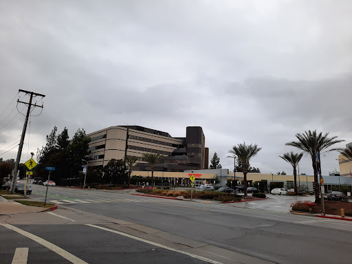 A view of a modern building amidst cloudy skies, featuring palm trees in an urban setting.