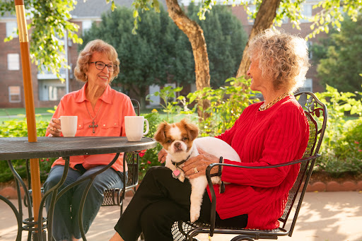 Two women enjoying a sunny afternoon with a dog and coffee.