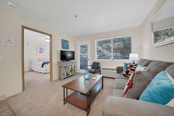 A cozy living room with a sofa, coffee table, and television, illuminated by natural light from large windows.