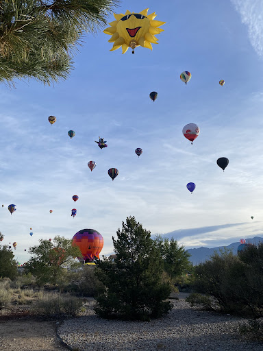 A vibrant display of hot air balloons ascending into the sky during a festival.