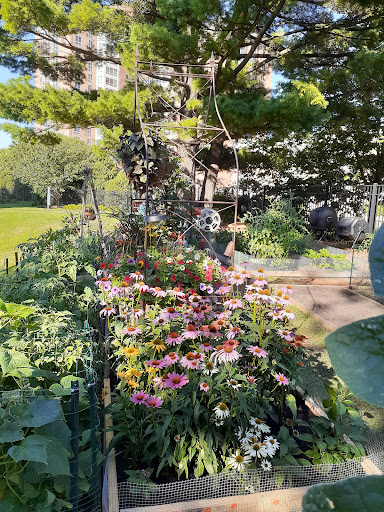 A vibrant garden filled with blooming flowers under the sunlight.