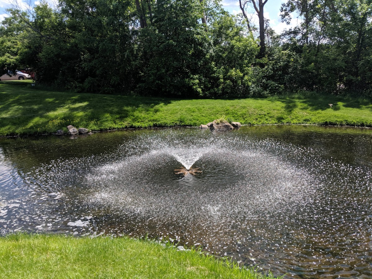 A scenic view of a pond with a central fountain surrounded by lush greenery and trees.