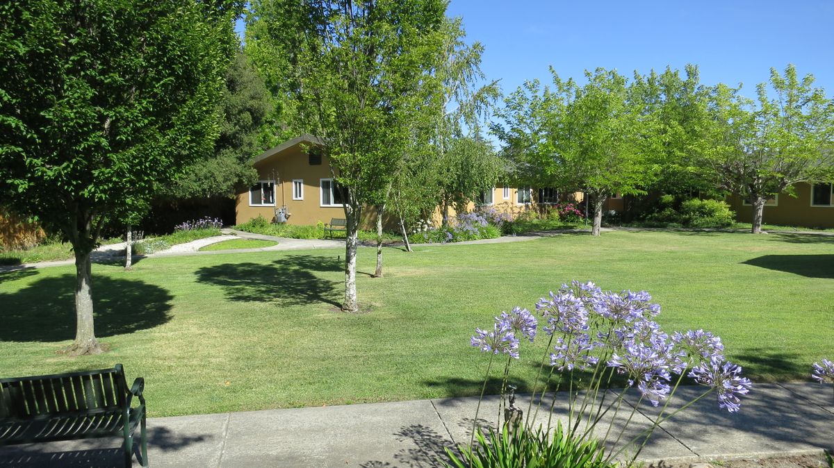 A tranquil garden area with a pathway lined by trees and blooming flowers, leading to a house in the background.