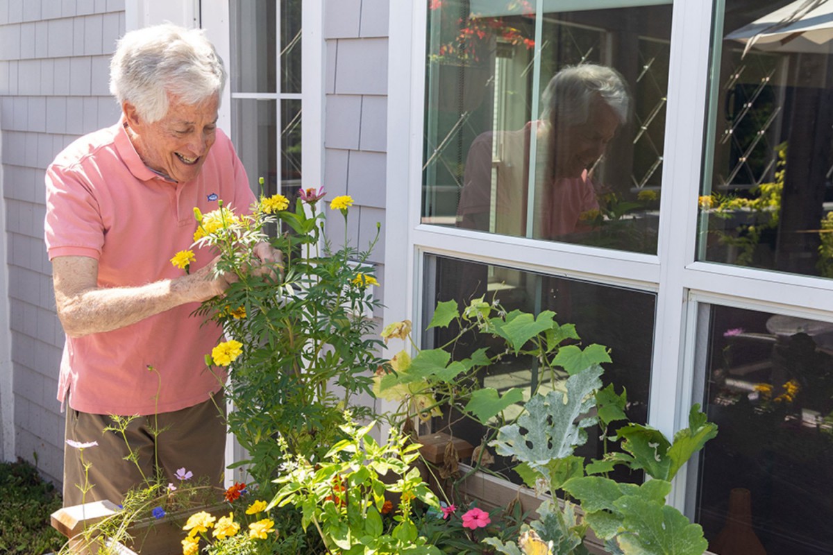 An elderly person enjoying gardening with vibrant flowers.