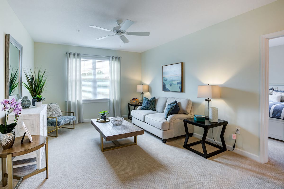 A modern living room with a comfortable sofa, coffee table, and stylish decor.