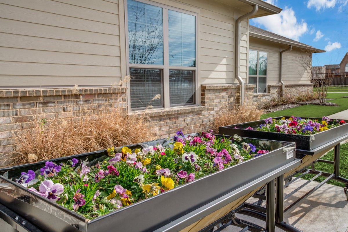 A raised garden bed filled with colorful flowers in front of a building.