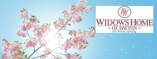 A serene spring scene featuring cherry blossoms under a clear blue sky.