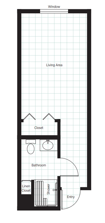 Simple apartment floor plan with living area, bathroom, and closet.