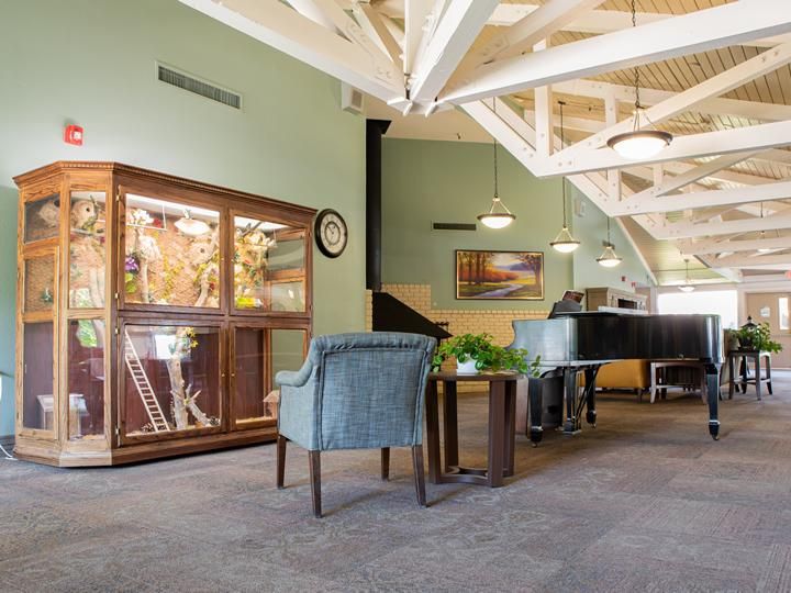 A modern waiting area with comfortable seating and a glass display cabinet.