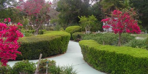 Bayshore Guest Home