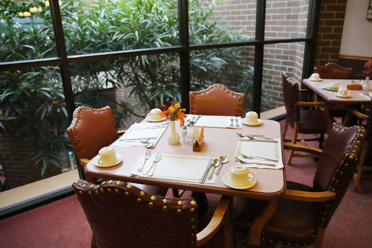 A cozy restaurant table set for four, overlooking a view of lush indoor plants through large windows.