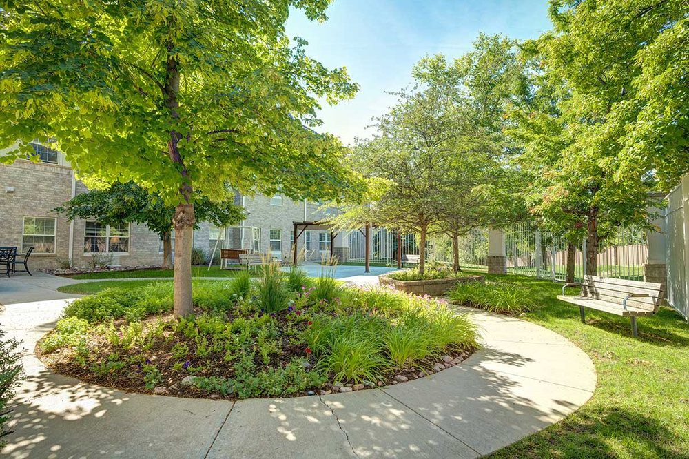 A serene garden with a paved pathway surrounded by lush greenery and trees, basking in sunlight.