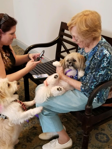 A woman sits on a bench holding a small dog in her lap while another person uses a phone nearby, accompanied by two playful dogs.