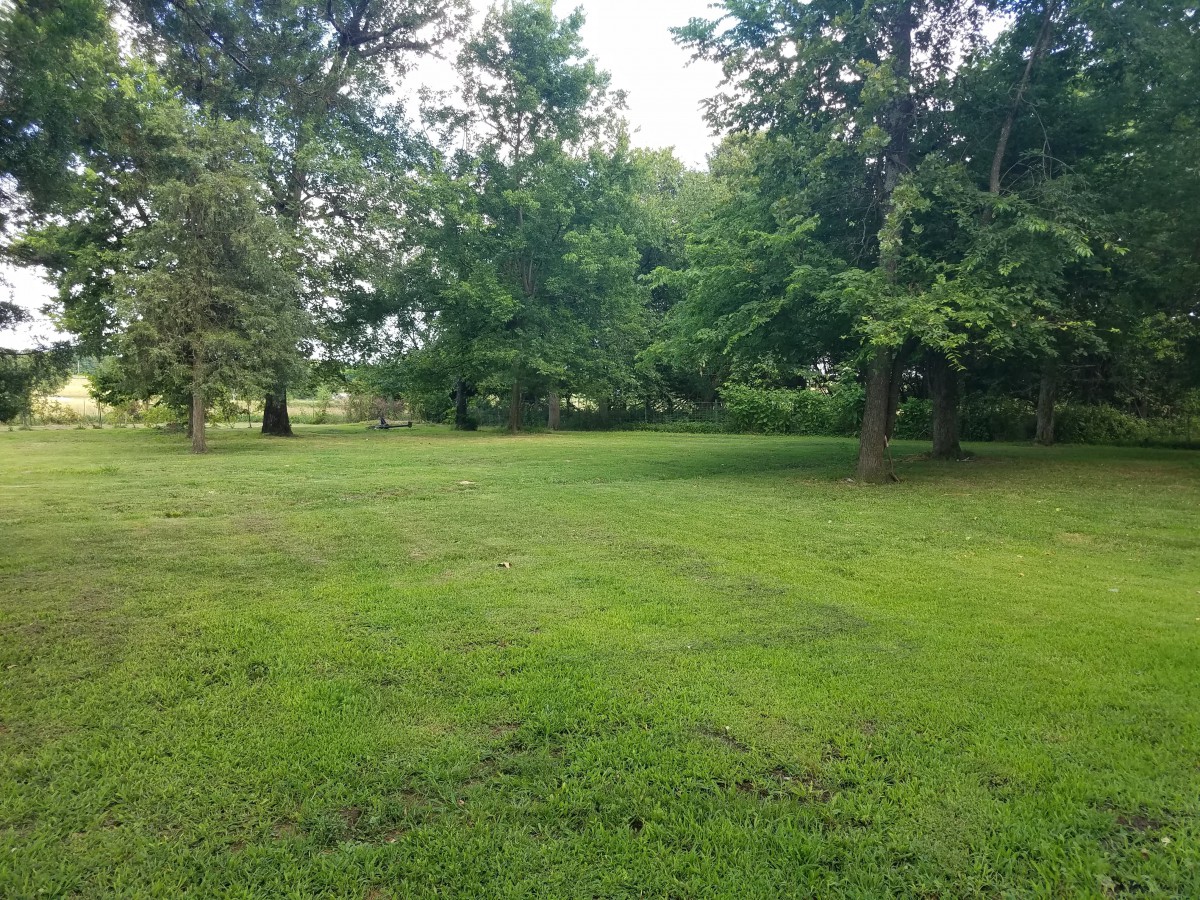 A lush green park with trees and open grassy areas.