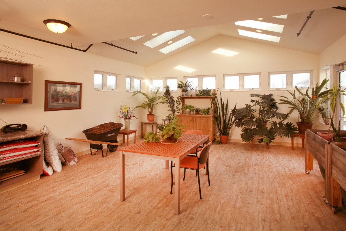 A spacious, sunlit room with wooden flooring and various potted plants.