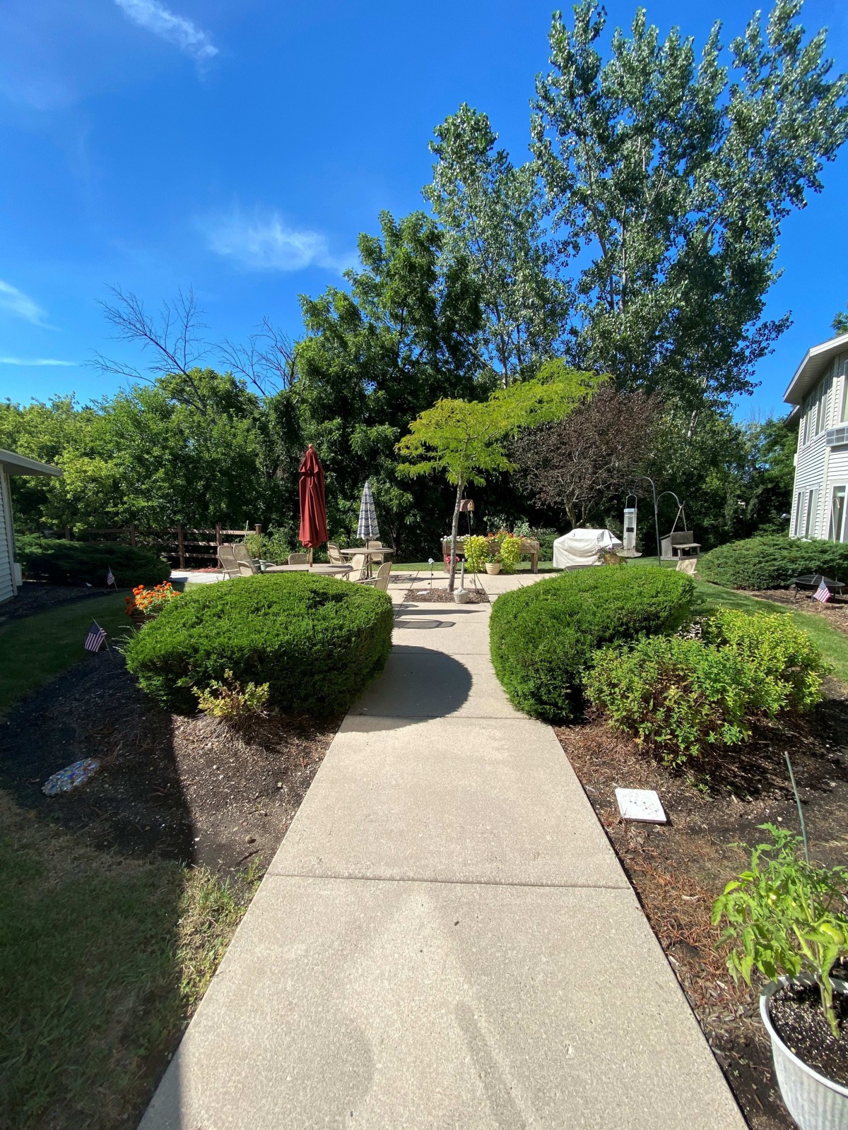 A sunny garden pathway surrounded by lush greenery and trees.
