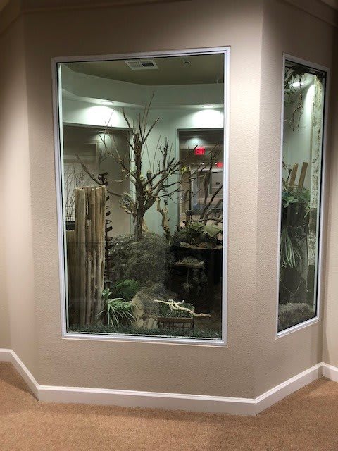 A corner display diorama featuring a natural scene with trees and animals.