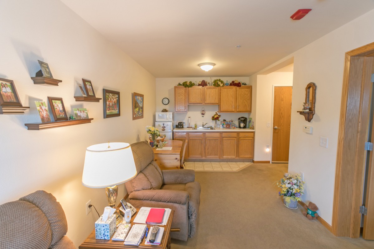 A cozy living room with a kitchenette in the background, featuring comfortable furniture and home decor.