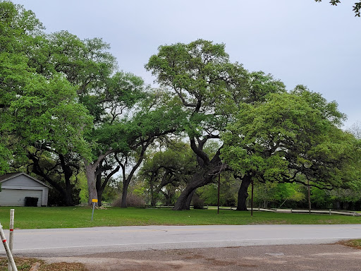 A serene landscape featuring lush green trees under a cloudy sky.