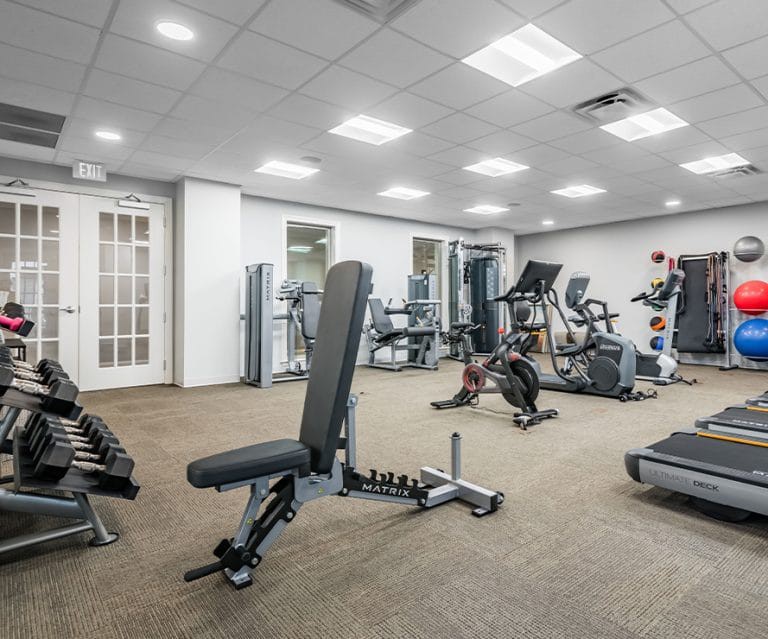 A modern gym equipped with treadmills, stationary bikes, weight benches, and various exercise machines.