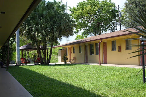 A sunny residential area featuring a yellow building surrounded by lush green grass and palm trees.