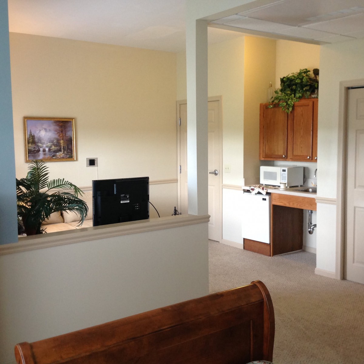 A cozy open-plan living and kitchen area with a television, microwave, and decorative plants.