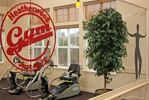 A well-lit gym featuring exercise equipment and a decorative plant.