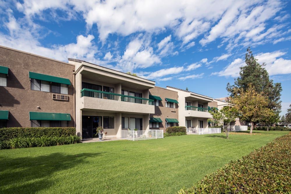 Citrus Place
