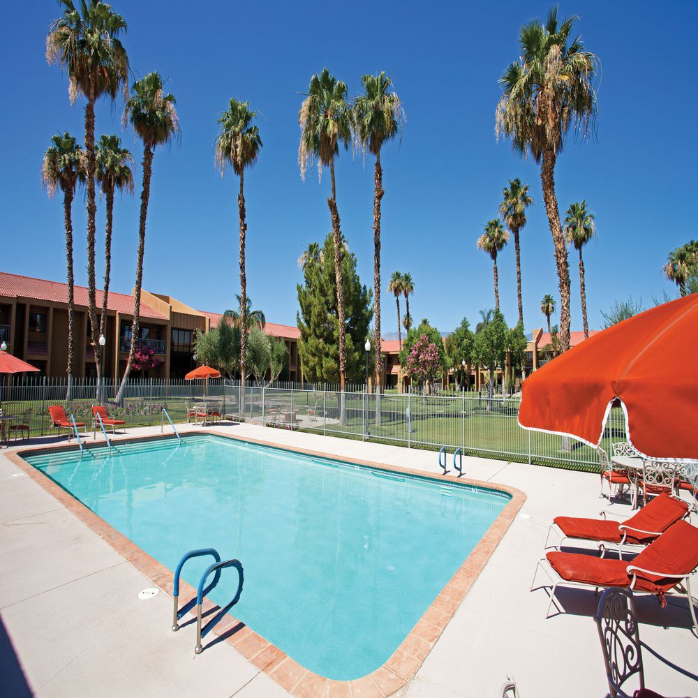A sunny resort swimming pool surrounded by red lounge chairs and palm trees.