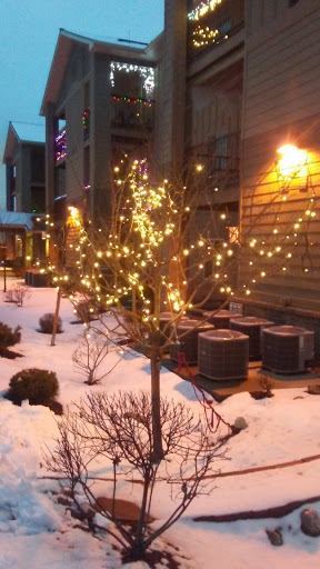 A beautifully lit tree adorned with lights, standing in a snowy outdoor setting.