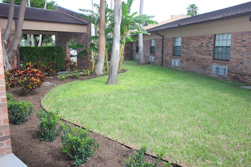 A well-maintained garden with lush grass and trees in a residential setting.