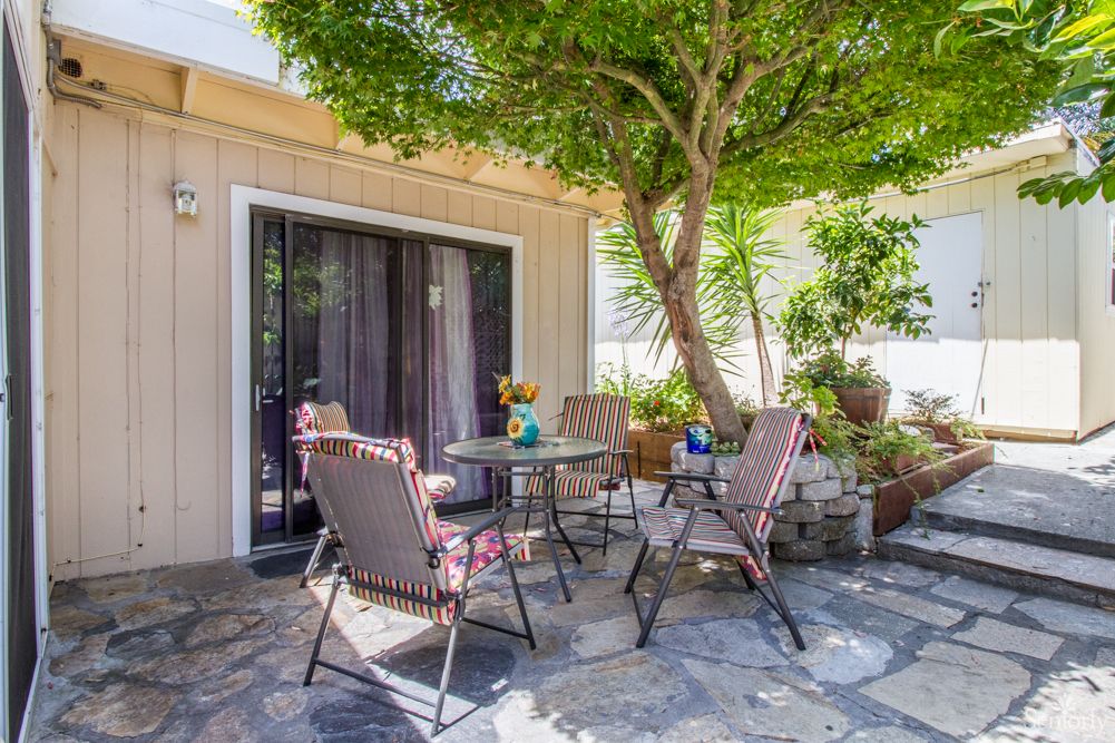 A cozy patio setup with chairs and a table under the shade of a tree.