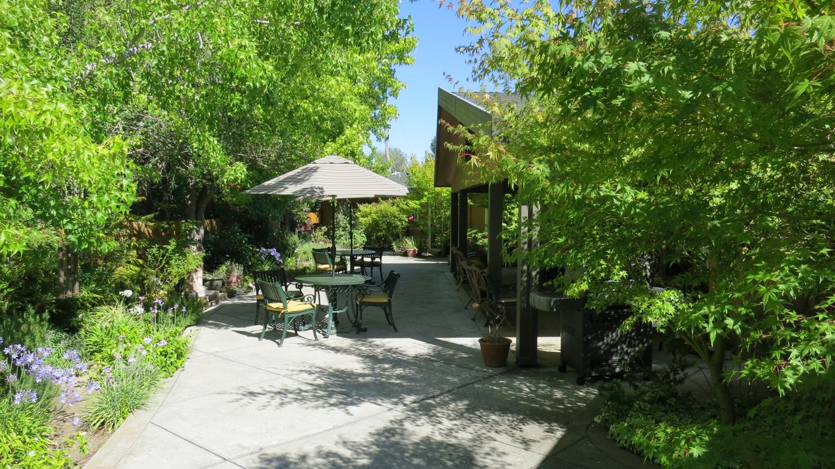 A tranquil garden patio with seating and a sunshade, surrounded by lush greenery.